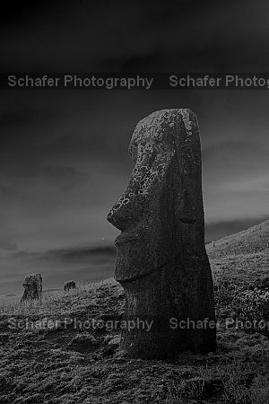 Lone Moai